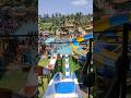Aqua Skoot style water slide at Wild Water Adventure Park #shorts #trending #ytshorts
