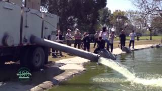 Fish Stocking
