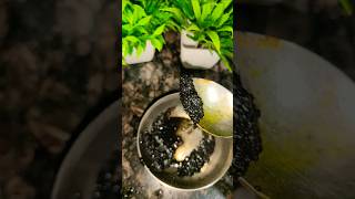 New Kitchen Hack #tipstricks​ #cookinghacks​ #cookingtips​ #shorts​#shortsfeed​ #viral #viralvideo