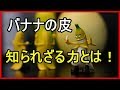 【衝撃】意外と知らないバナナの皮の使い道10選！○○が真っ白になる！？【funny com】