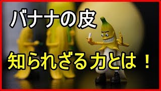 【衝撃】意外と知らないバナナの皮の使い道10選！○○が真っ白になる！？【funny com】