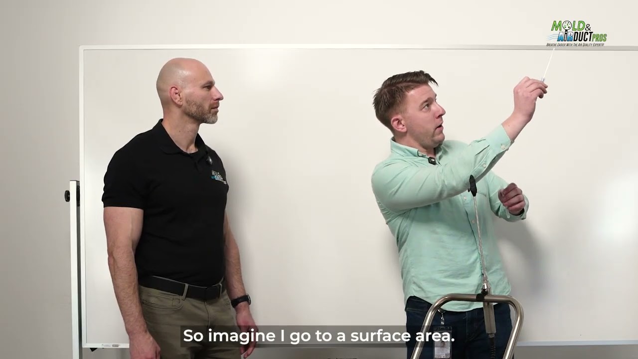 How Much Does a Mold Inspection REALLY Cost? (Homeowners Are Surprised!) – Cleveland, Ohio