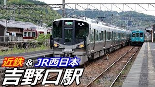 近鉄吉野線・JR和歌山線の吉野口駅で見られた車両達／2019年5月