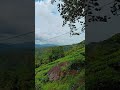Deniyaya Patna division #shorts #srilanka #trending #travel #redminote8pro #mobile
