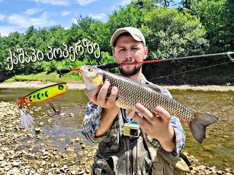 ივნისის \"ხავსიჭამია\" ქაშაპი პოპერზე (+ბონუსი MK-Ar-s)