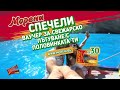 Спечели свежарски награди с Морени!