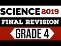 Grade 4 |  Science | Final Revision | First Term 2019