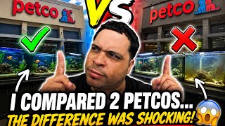     I Compared 2 Petco Stores… The Difference Was SHOCKING!