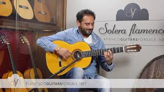 Diego del Morao por bulerias en Solera Flamenca chords