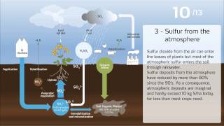 The sulfur cycle in agriculture