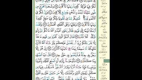 الصفحة (343) من المصحف الشريف ( سورة المؤمنون - مشروع حفظ القرآن الكريم )