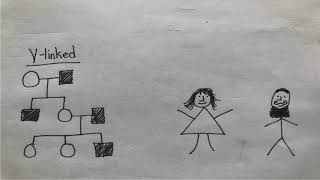 Genetics 311 Module 1 Exam Mini Video