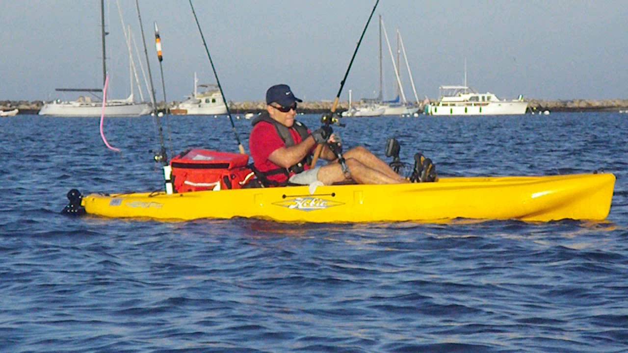 kens live liner blue 81013