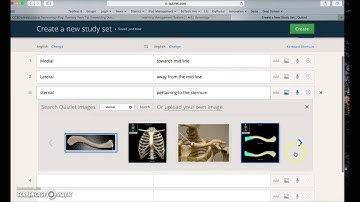 Embedding Quizlet Flashcards in Schoology
