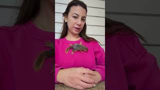 Ayyy Inanmıyorum 🤣