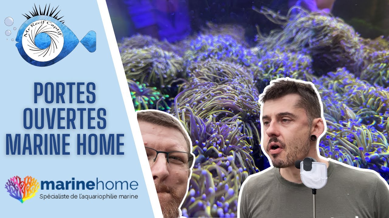 Незабываемый день в MarineHome: встреча с любителями рифов!
