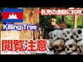 【閲覧注意】カンボジアの処刑場「キリングフィールド」実際に３００万人を虐殺した真相とは！？ 【ユーラシア大陸横断 #07】