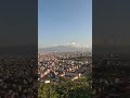 モンキーテンプル