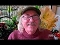The Gestalt Gardener - January 17, 2025