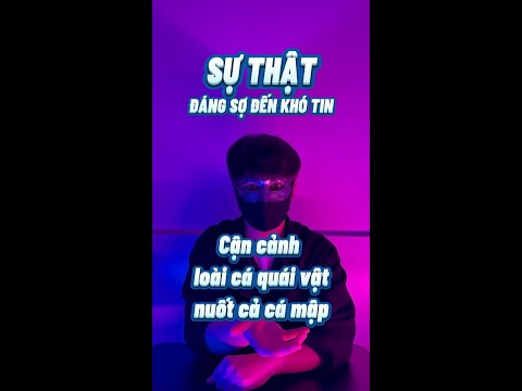 Video Cận Cảnh Loài Cá Quái Vật Nuốt Cả Cá Mập | Mặt Nạ... - youtube