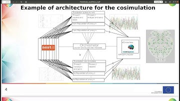 TVB on EBRAINS: Framework for the Cosimulation between TVB and Nest - Lionel Krusch
