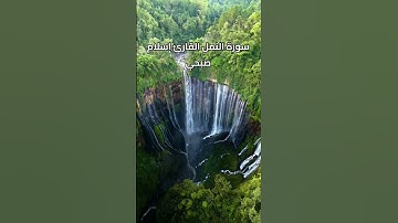 سورة النمل القارئ إسلام صبحي 💚💚
