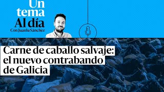 🎙 PODCAST | Carne de caballo: el nuevo contrabando de Galicia