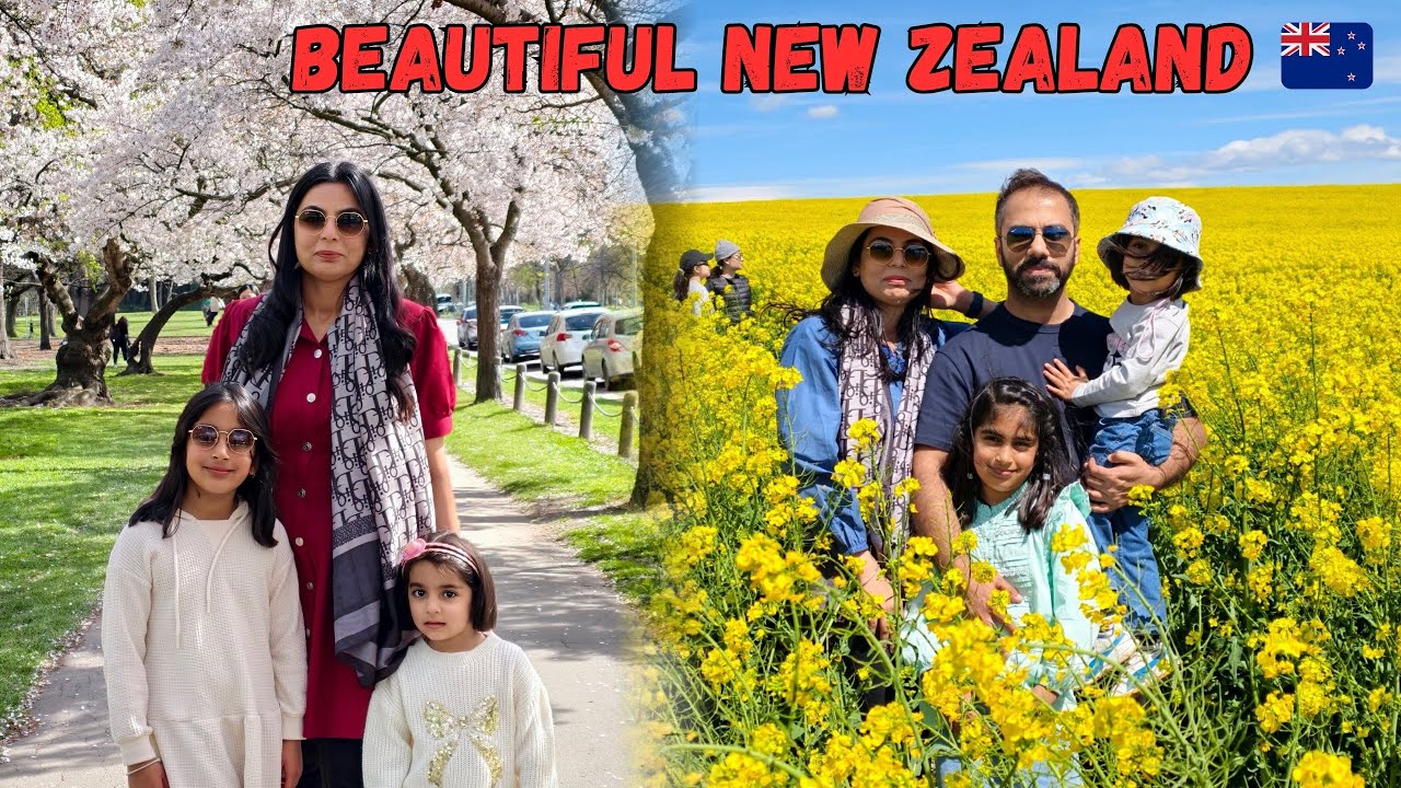 Feels Like a DDLJ Movie Set 🙈 Cherry Blossom Season in New Zealand🌸| Spring | Paras Sarmad Vlogs 