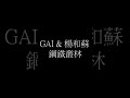 GAI & 楊和蘇-鋼鐵叢林