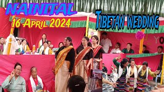 Nainital 16/4/2024 || Tibetan wedding || #nainital