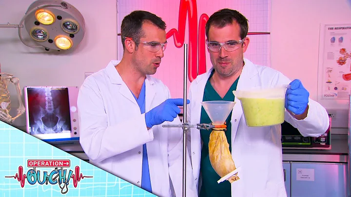 Science for Kids - The Acid Inside My Stomach | Learn About Digestion | Operation Ouch