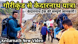 Gaurikund to Kedarnath Trek, केदारनाथ पैदल यात्रा की सम्पूर्ण जानकारी | Kedarnath Dham Yatra by Deepak Vedi Vlogs 37,735 views 4 weeks ago 20 minutes