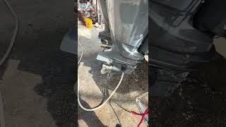 IMG 3537