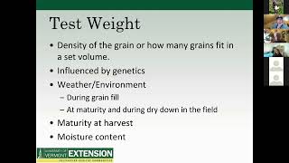 The Anatomy of Wheat Flour Part 1 - Field to Bakery