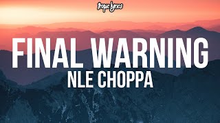 Celebrity NLE Choppa - Final Warning (Lyrics) Profile