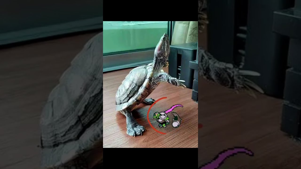 Deltarune Memes from Ralsei's Room: the movie, ACT 1... #undertale #deltarunememe #deltarune #memes