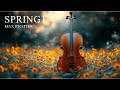 Spring 1 | Max Richter | Imperial Orchestra