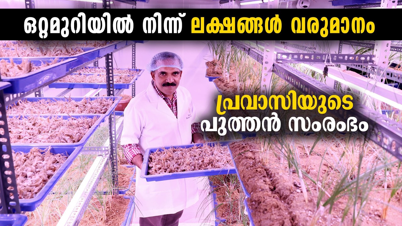 പ്രവാസിയുടെ പുത്തൻ സംരംഭം | ഒറ്റമുറിയിൽ നിന്ന് ലക്ഷങ്ങൾ വരുമാനം. New Business Idea | Success Story