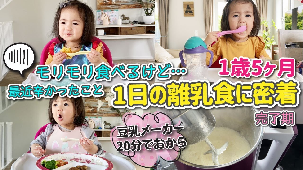 1歳5ヶ月 1日の食事メニューと様子 モリモリ食べるけど難しくなってきた 最近辛かったこと 量や固さ味付けは 激うまオートミールレシピ モッパン Baby Mukbang Youtube