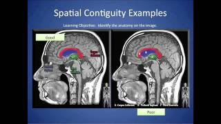 Contiguity Principle
