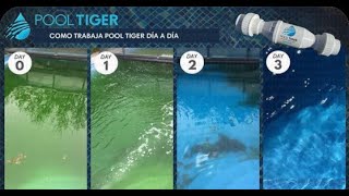 Instalación de POOL TIGER para piscina,