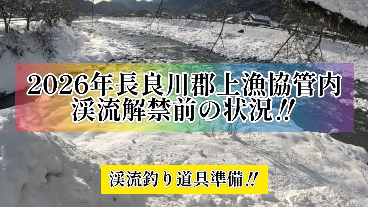 2026年長良川郡上漁協管内渓流解禁前の状況‼️　渓流釣り道具準備‼️