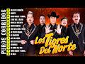 LOS TIGRES DEL NORTE MIX 2026 🎶 CORRIDOS Y NORTEÑAS VIEJITAS CANCIONES DE LOS TIGRES DEL NORTE