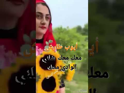 معك معك شلني الوادي معك ايوب عامرالزريقي