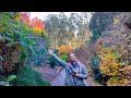 Autumn is Nature's Art Part 1 | Australia