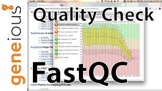 454 NGS data - FastQC Sequence Quality Check (Mitogenome tutorial 2.3)