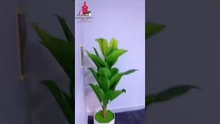 Apportez une touche d'élégance à votre espace, conçue pour sublimer votre intérieur.