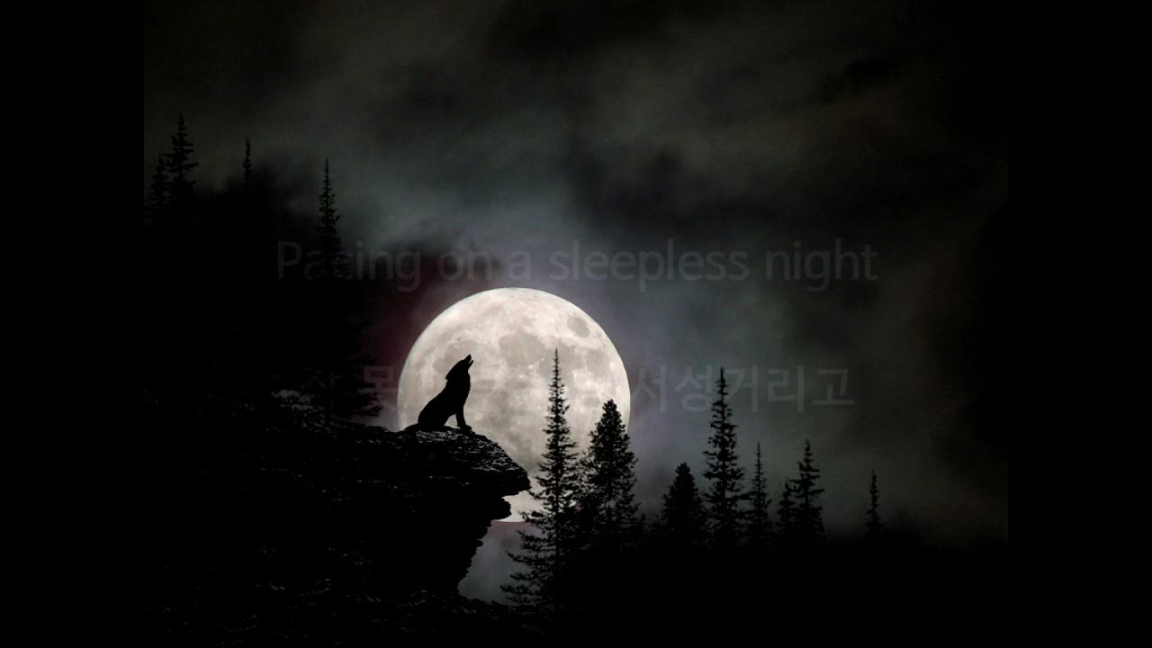 Howling At The Moon D Fine Us D FINE US - HOWLING AT THE MOON | TOMER KATZ ft. VIGZ (한시간/1hour)가사해석