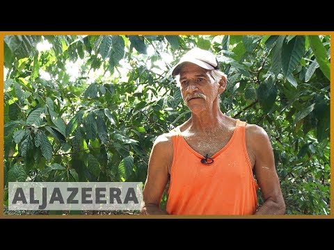 🇻🇪 Venezuela’s fuel and fertiliser shortage reduce farm production l Al Jazeera English