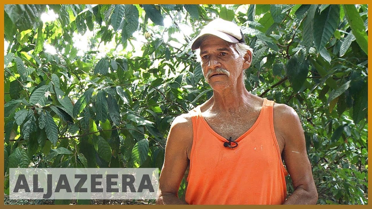 🇻🇪 نقص الوقود والأسمدة في فنزويلا يُقلل الإنتاج الزراعي | الجزيرة الإنجليزية